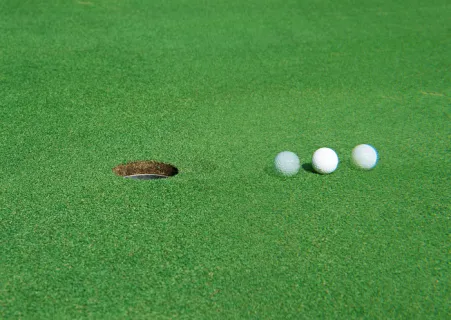 狮子老虎熊猫老虎机：原创为什么狮子和老虎不吃大熊猫？熊猫：请查收我的别名