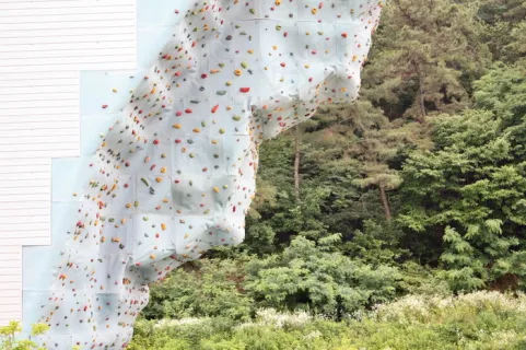 威能：威能、菲斯曼、阿里斯顿，该选哪个？