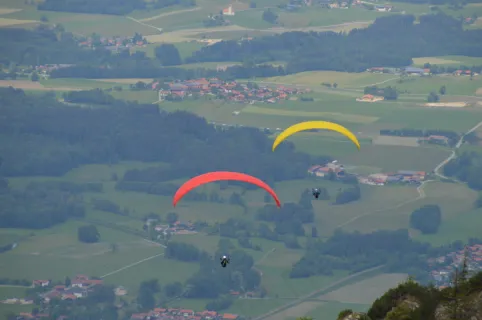 线上娱乐：鲸准研究院丨《线下娱乐产业现状研究报告》——娱乐，社交终究还是要回归现实