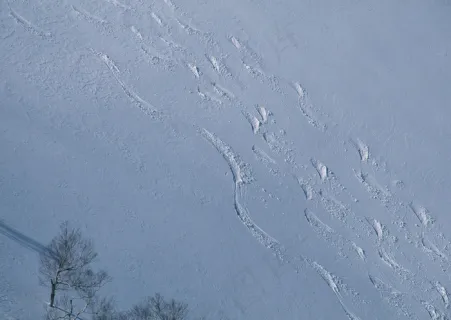 唐朝娱乐城：唐朝有哪些娱乐活动？