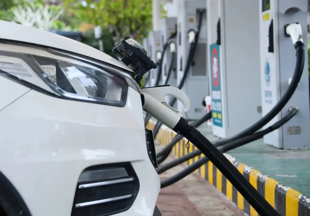 图片来源：视觉中国