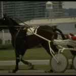 大众娱乐:古罗马、公共浴场与洗浴文化,博狗 N6X4KF